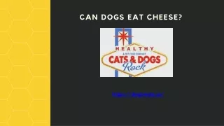 Can dogs eat Cheese