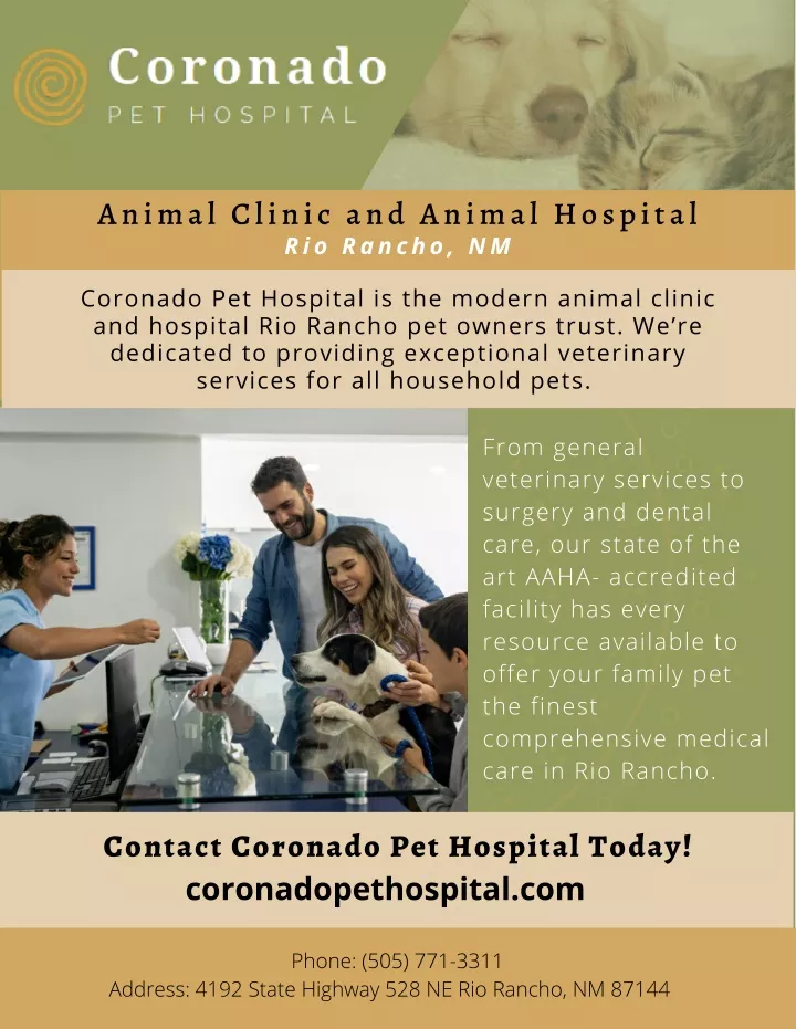 animal clinic and animal hospital rio rancho nm