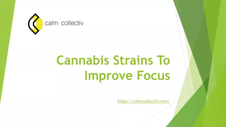cannabis strains to improve focus
