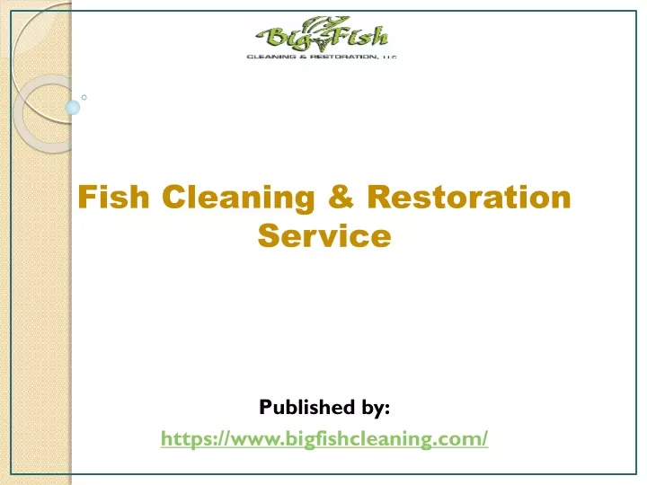 fish cleaning restoration service published by https www bigfishcleaning com