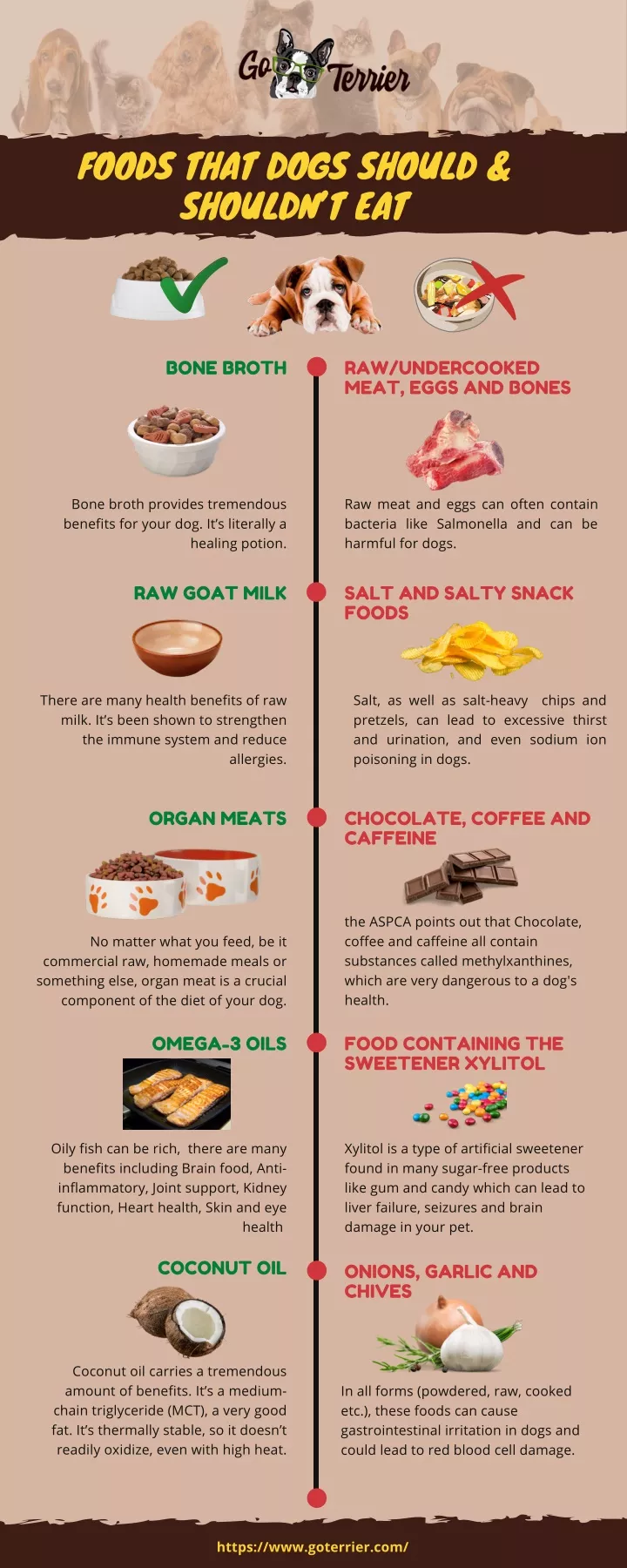 foods that dogs should shouldn t eat