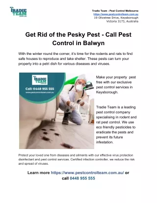 Get Rid of the Pesky Pest - Call Pest Control in Balwyn