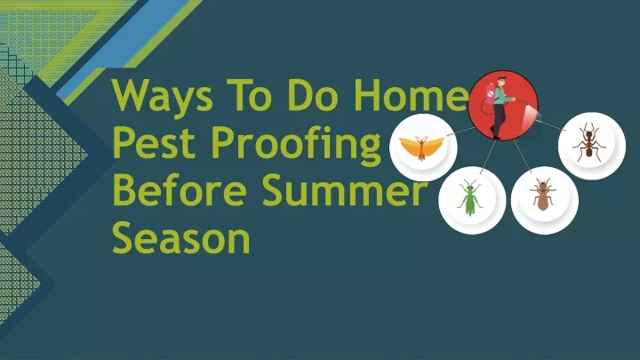 ways to do home pest proofing before summer season