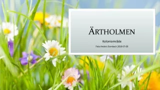 rtholmen