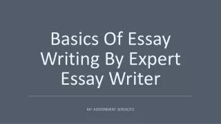 basics of essay writing by expert essay writer