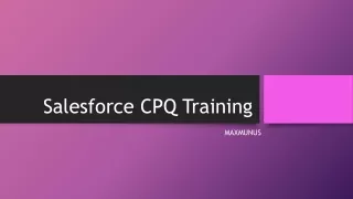 Salesforce CPQ Online Training-MaxMunus