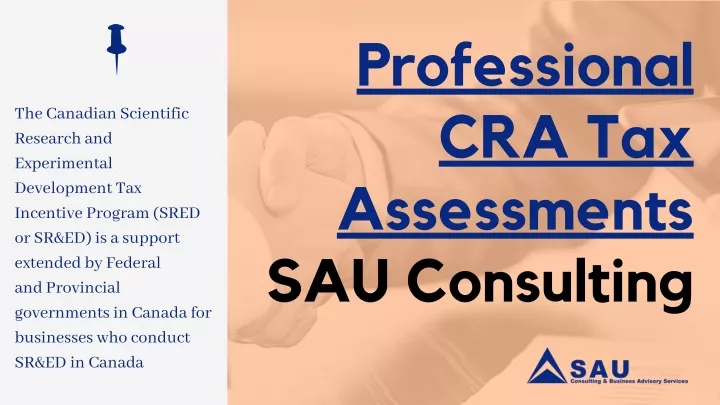 professional cra tax assessments sau consulting