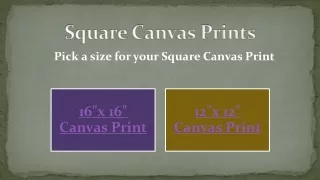 Square Canvas Prints-Canvasprints.com