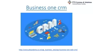 business one crm