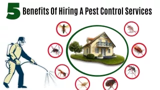 5 Benefits Of Hiring A Pest Control Services