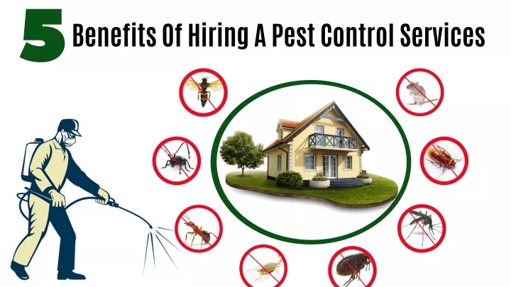 benefits of hiring a pest control services