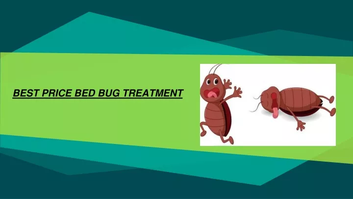 Price For Bed Bug Treatment