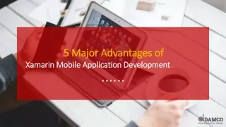 5 major advantages of 5 major advantages