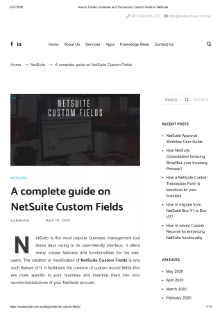 NetSuite Custom Fields
