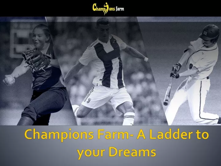 champions farm a ladder to your dreams