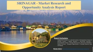 SRINAGAR - Market Research and Opportunity Analysis Report