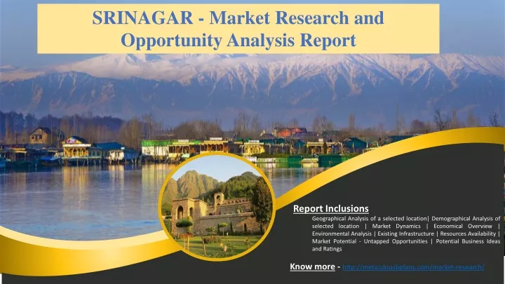 srinagar market research and opportunity analysis