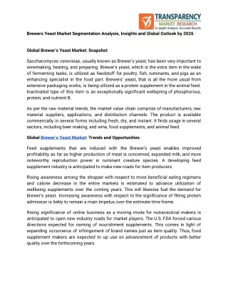 brewers yeast market segmentation analysis