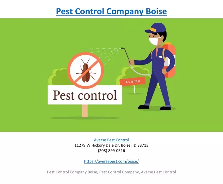 pest control company boise
