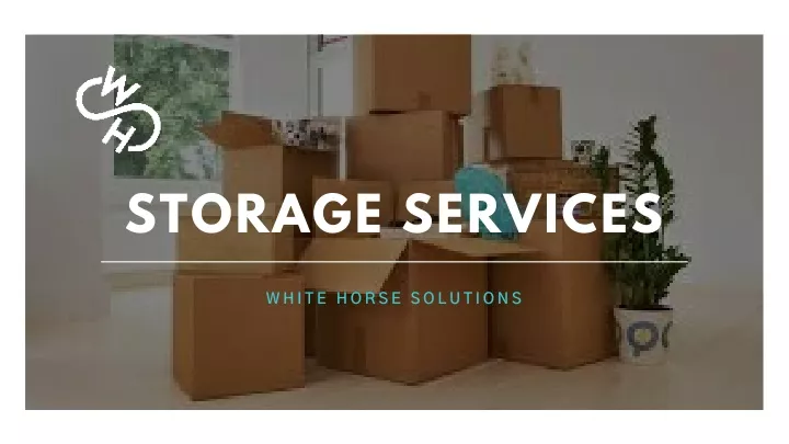 storage services