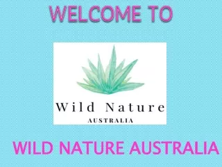 Organic Face Makeup & Moisturizer | Natural Facial Treatment - Wild Nature Australia