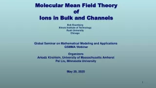 Molecular Mean Field Theory of Ions in Bulk and Channels