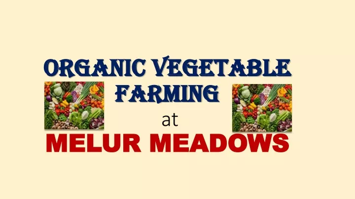 organic vegetable farming at melur meadows