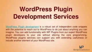 wordpress plugin development services