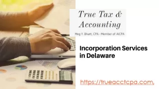 Best Incorporation Service in Delaware | True Tax Accounting