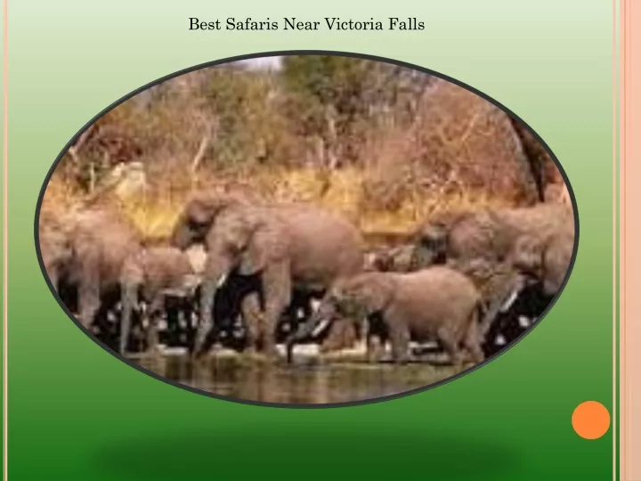 best safaris near victoria falls