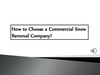 How to Choose a Commercial Snow Removal Company?