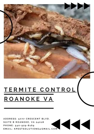 t e r m i t e c o n t r o l r o a n o k e v a