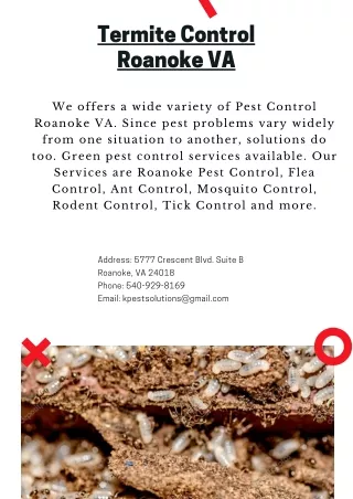 Termite Control Roanoke VA | Killinger Pest Solutions