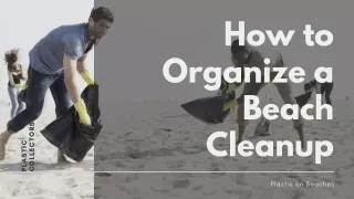 Plastic on Beaches : How to organize a Beach Cleanup