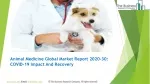 Animal Medicine Market Analysis, Size, Share, Growth, Trends And Forecast 2020