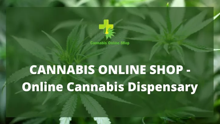 cannabis online shop online cannabis dispensary