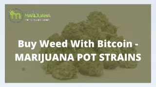 Buy Weed With Bitcoin from Marijuana Pot Strains