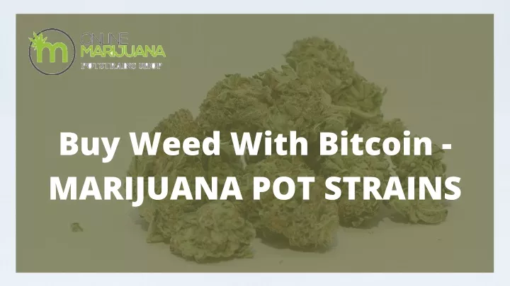buy weed with bitcoin marijuana pot strains