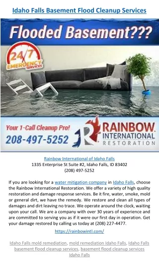 idaho falls basement flood cleanup services