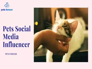 Pets social media Influencer