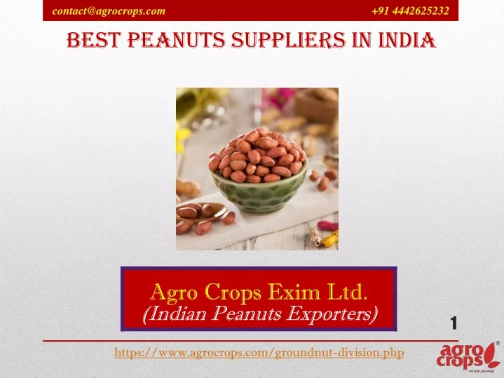 best peanuts suppliers in india
