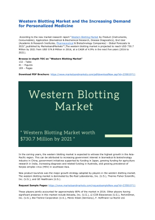 Western Blotting Market and the Increasing Demand for Personalized Medicine