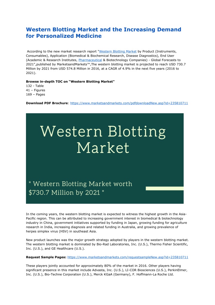 western blotting market and the increasing demand