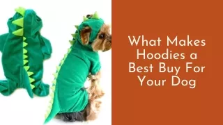 What Makes Hoodies a Best Buy For Your Dog