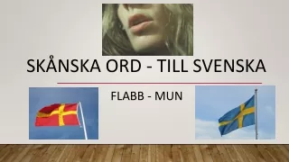sk nska ord till svenska