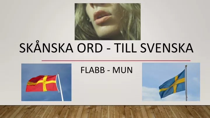 sk nska ord till svenska