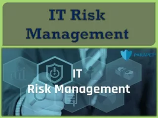 it risk management