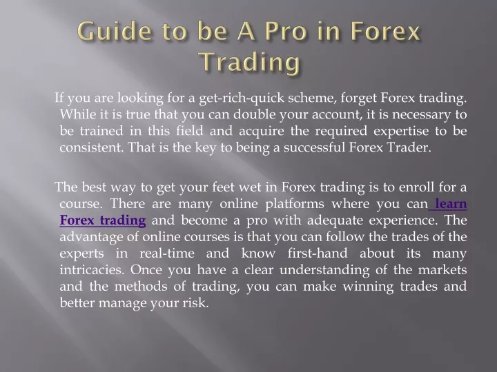 guide to be a pro in forex trading