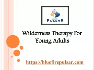 Wilderness Therapy For Young Adults