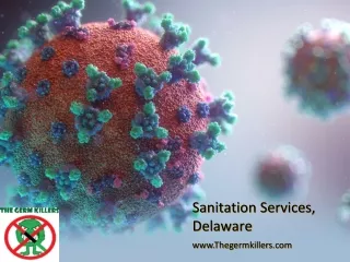 sanitation services delaware